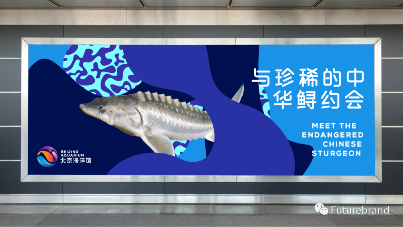 北京海洋馆视觉体验提升项目