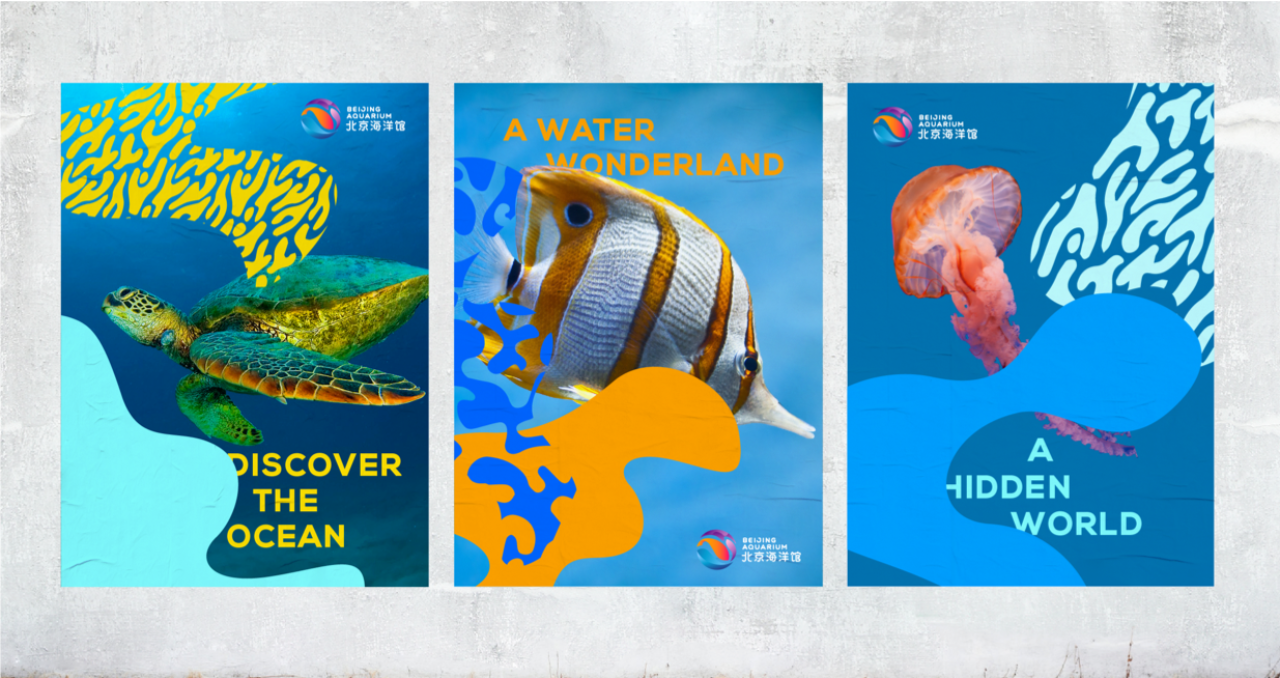 FutureBrand Asia-Pacific win Gold for Beijing Aquarium at the Transform Awards APAC