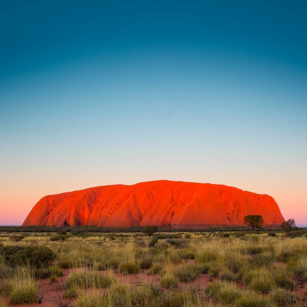 Outback