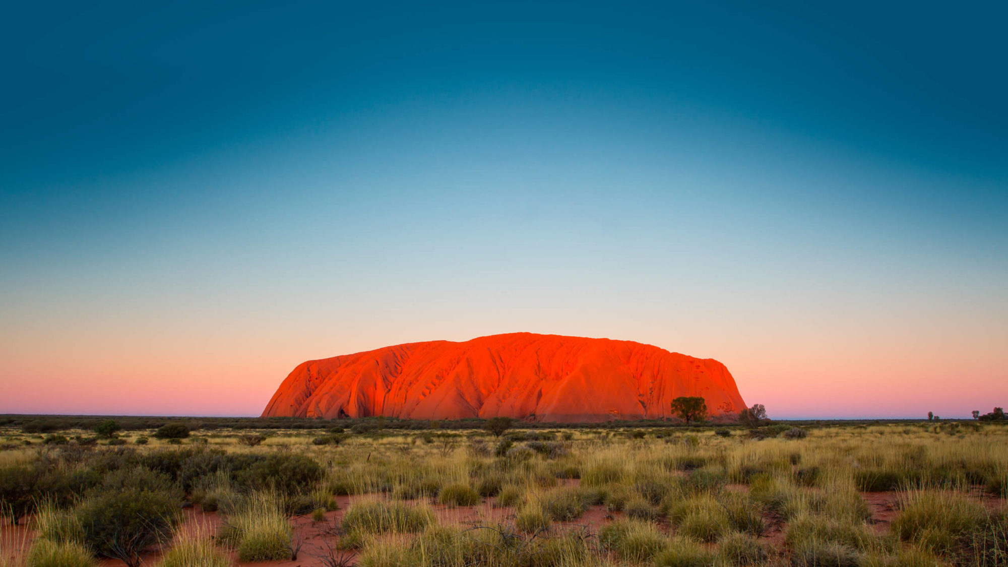 Outback